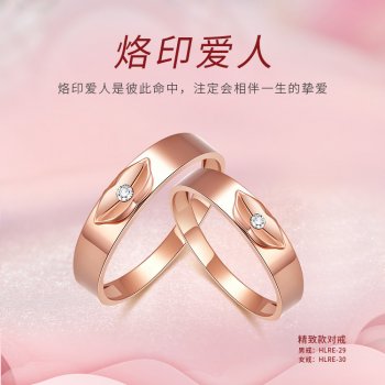 HLRE-29/HLRE-30 精致...