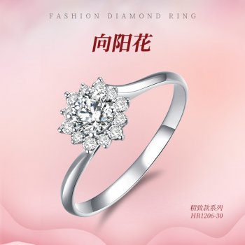 HR1206-30 精致款围镶...