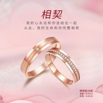 HLRD19/HLRD20 精致款...