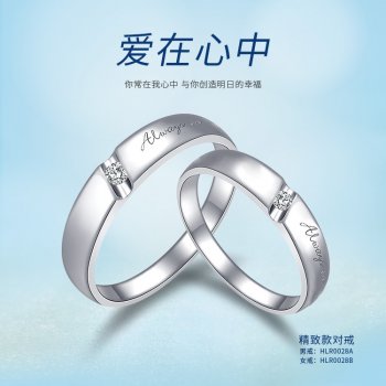 HLR0028A/HLR0028B 精...